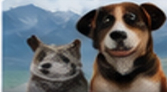 Pet Tracking